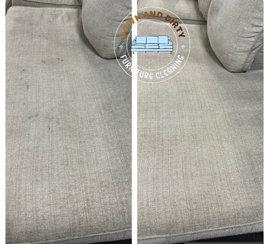 Chaise Lounge Cleaning
